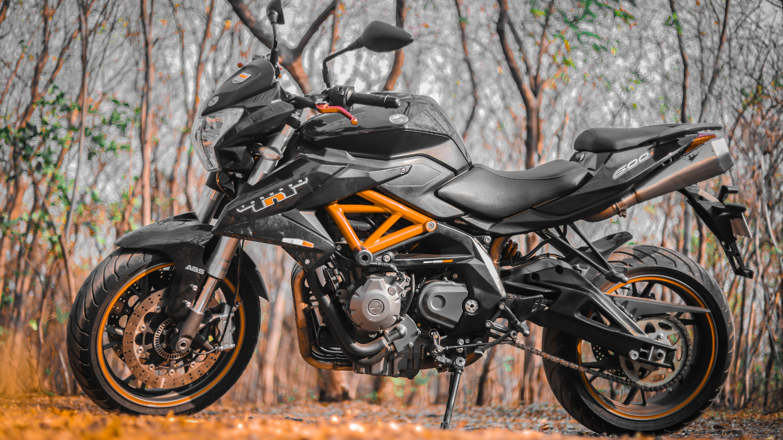 motorcycle in the woods