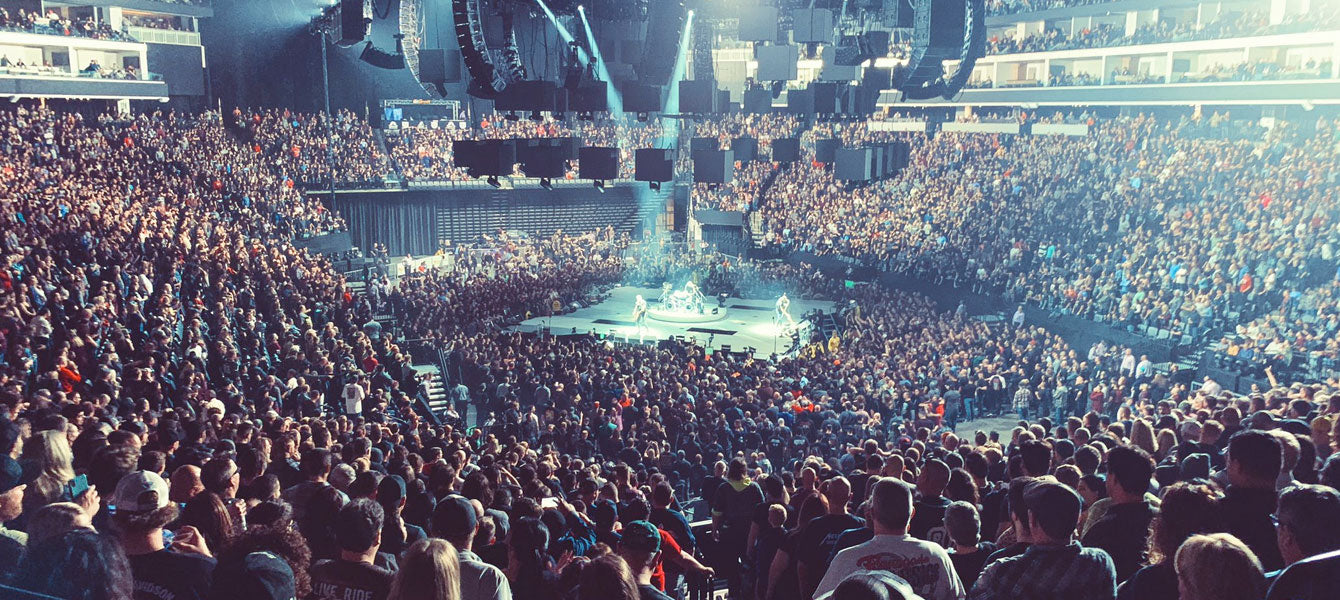 Music Ear Plugs for Music Lovers and Concert goers